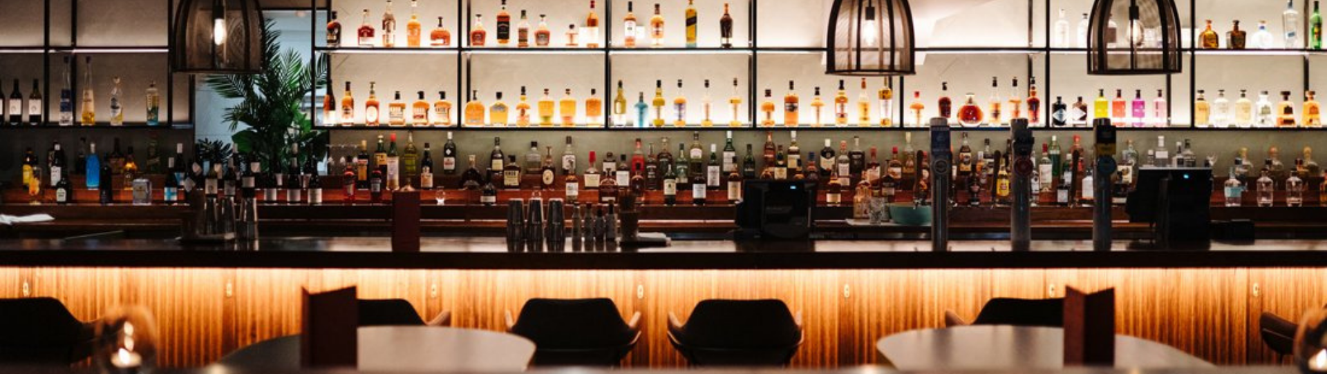 Gold Coast Nightlife Wicked Event Management