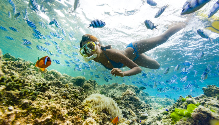 snorkelling fish fiji